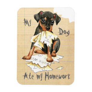 Imán Mi Min Pin Ate My Homework