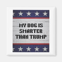 Mi perro es más inteligente que Trump
