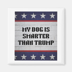 Imán Mi perro es más inteligente que Trump