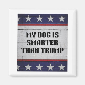 Imán Mi perro es más inteligente que Trump