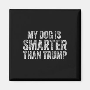 Imán Mi perro es más inteligente que Trump divertido an