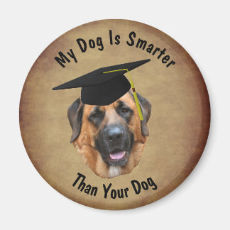 Imán Mi perro mastín es más inteligente que tu perro Di