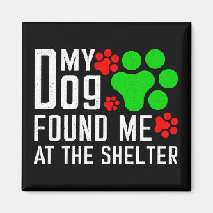 Imán Mi Perro Me Encontró En El Refugio De Los Amantes