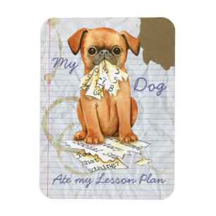 Imán Mi Petit Brabancon Ate Mi Plan de Lecciones