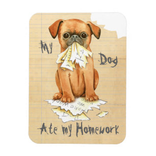 Imán Mi Petit Brabancon Ate My Homework