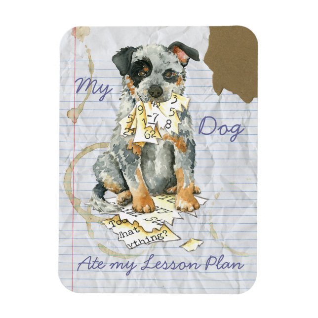 Imán Mi plan de clases ACD Ate My Lesage (Vertical)