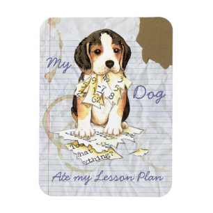 Imán Mi plan de clases Beagle Ate My Lesage