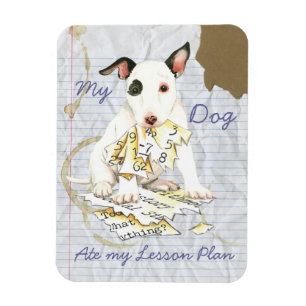 Imán Mi plan de clases de Bull Terrier en miniatura