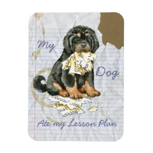 Imán Mi plan de clases de castiff para los tibetanos