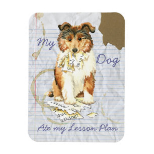Imán Mi plan de clases de Collie Ate