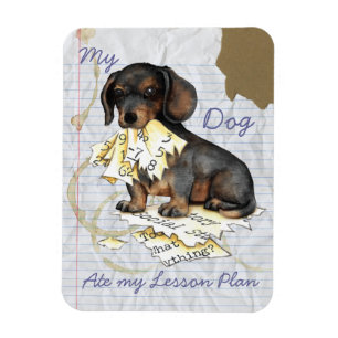 Imán Mi plan de clases de Dachshund Ate