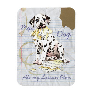 Imán Mi plan de clases de Dalmacia