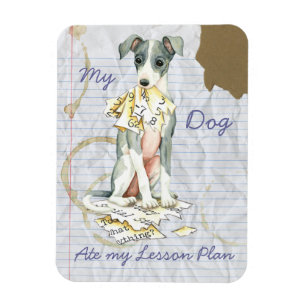 Imán Mi plan de clases de Greyhound italiano