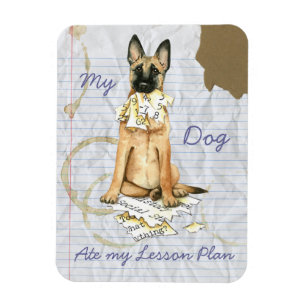 Imán Mi plan de clases de malinois comió mi lección