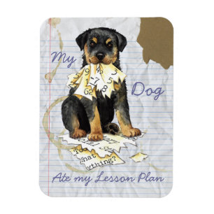 Imán Mi plan de clases de Rottweiler Ate My Lesage