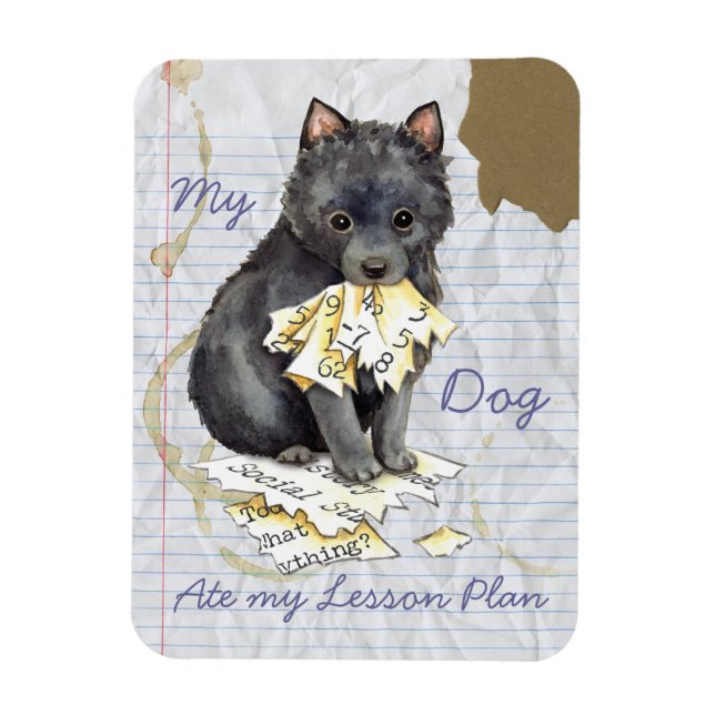 Imán Mi plan de clases de Schipperke Ate My Lesage (Vertical)