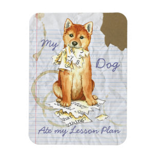 Imán Mi plan de clases de Shiba Inu se comió
