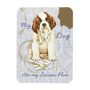 Imán Mi plan de clases de St. Bernard