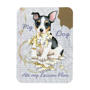 Imán Mi plan de clases de Teddy Roosevelt Terrier