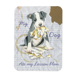 Imán Mi Plan de Lecciones de Pit Bull