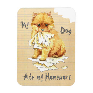 Imán Mi Pomeranian comió mi preparación