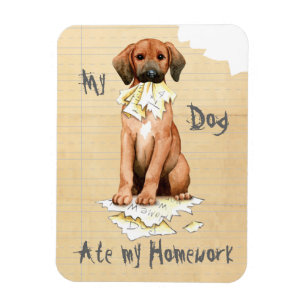 Imán Mi Redbone comió mi hogar