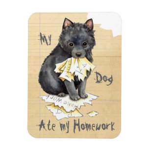 Imán Mi Schipperke Se Comía Mi Casa