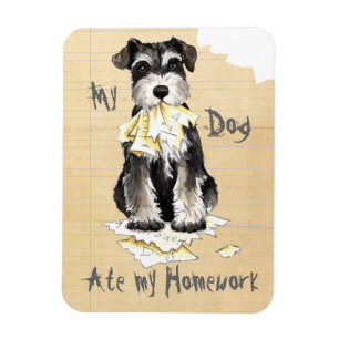 Imán Mi Schnauzer miniatura comió mi preparación