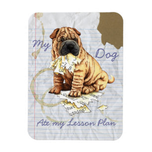 Imán Mi Shar-Pei chino comió mi plan de lección