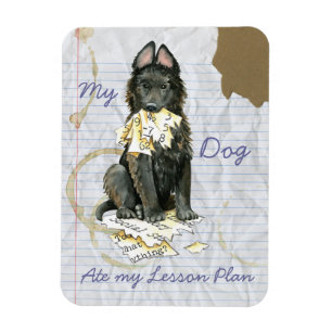 Imán Mi Sheepdog belga comió mi plan de lección