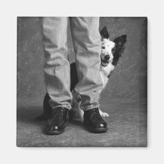 Imán Mi sombra y yo - Perro de Collie