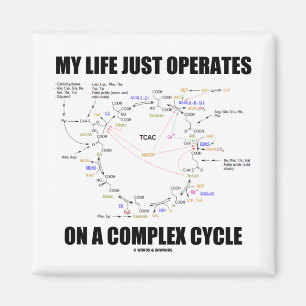Imán Mi Vida Acaba De Funcionar En Un Ciclo Complejo (K