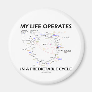 Imán Mi Vida Funciona En Un Ciclo Predecible (Krebs)
