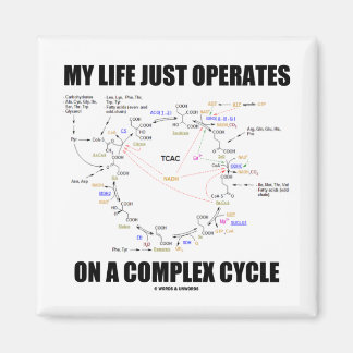 Imán Mi Vida Sólo Funciona En Un Ciclo Complejo (Krebs)