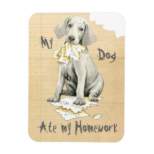 Imán Mi Weimaraner se comió mi hogar