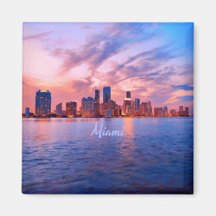Imán Miami Beach Florida City Skyline