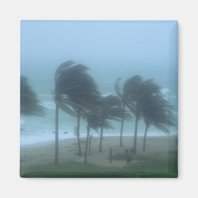 Imán Miami Beach, Florida, los vientos de huracán azota (Frente)