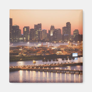 Imán Miami Cityscape