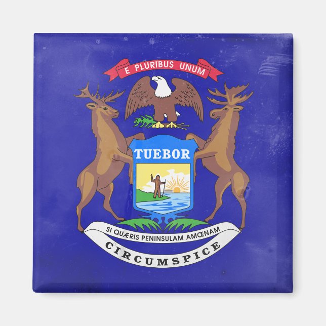 Imán Michigan (Frente)