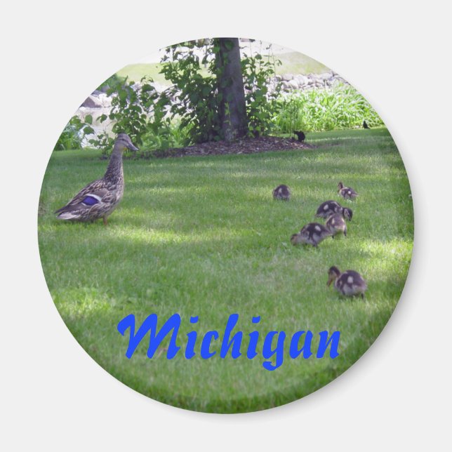 Imán Michigan Ducklings (Frente)