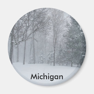 Imán Michigan MI Nieve De Invierno En La Escena De Los