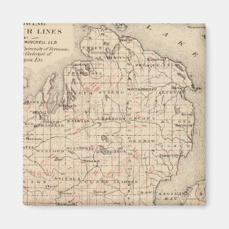 Imán Michigan mostrando líneas de contorno