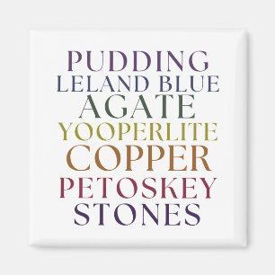 Imán Michigan Rockhound Agate Petoskey Stone Magent