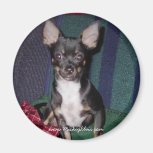 Imán Mickey Elvis lindo y adorable