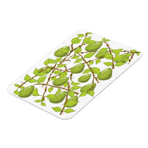 Imán Miedos crecientes