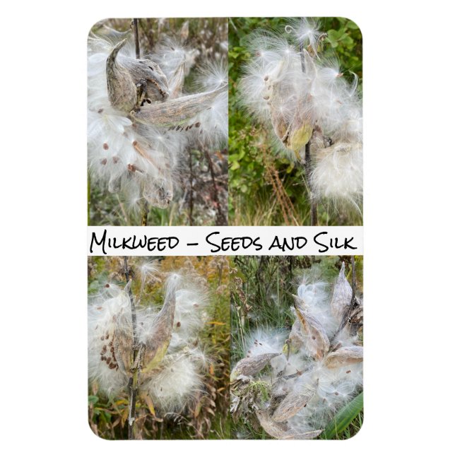 Imán Milkweed | Flexibilidad natural (Vertical)