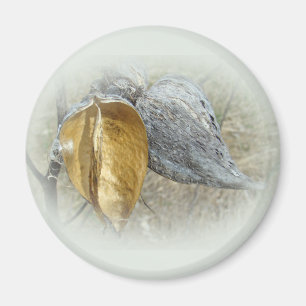 Imán Milkweed Pods
