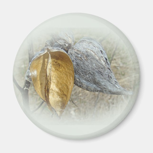 Imán Milkweed Pods (Frente)