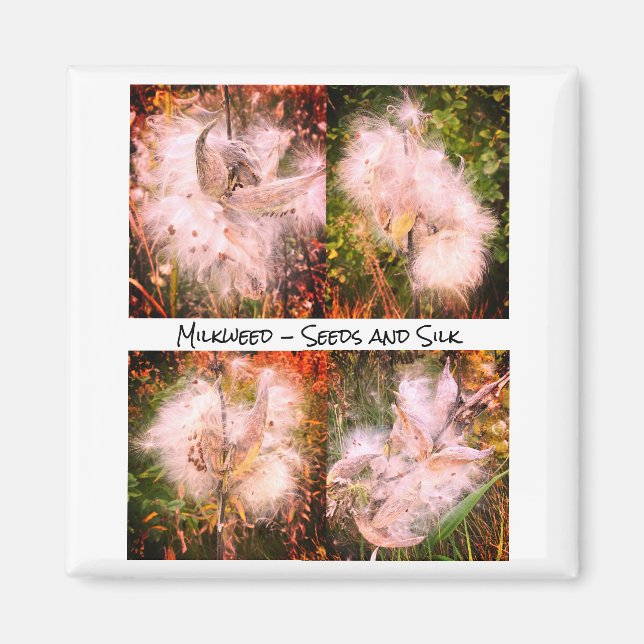 Imán Milkweed | Sangria (Frente)