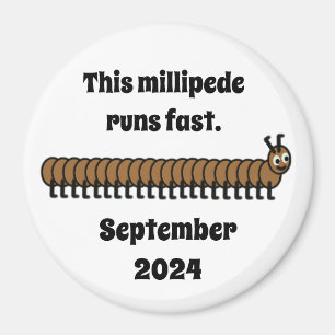 Imán Millipede, marrón